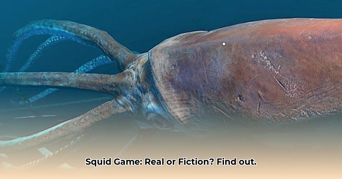 is-squid-game-real